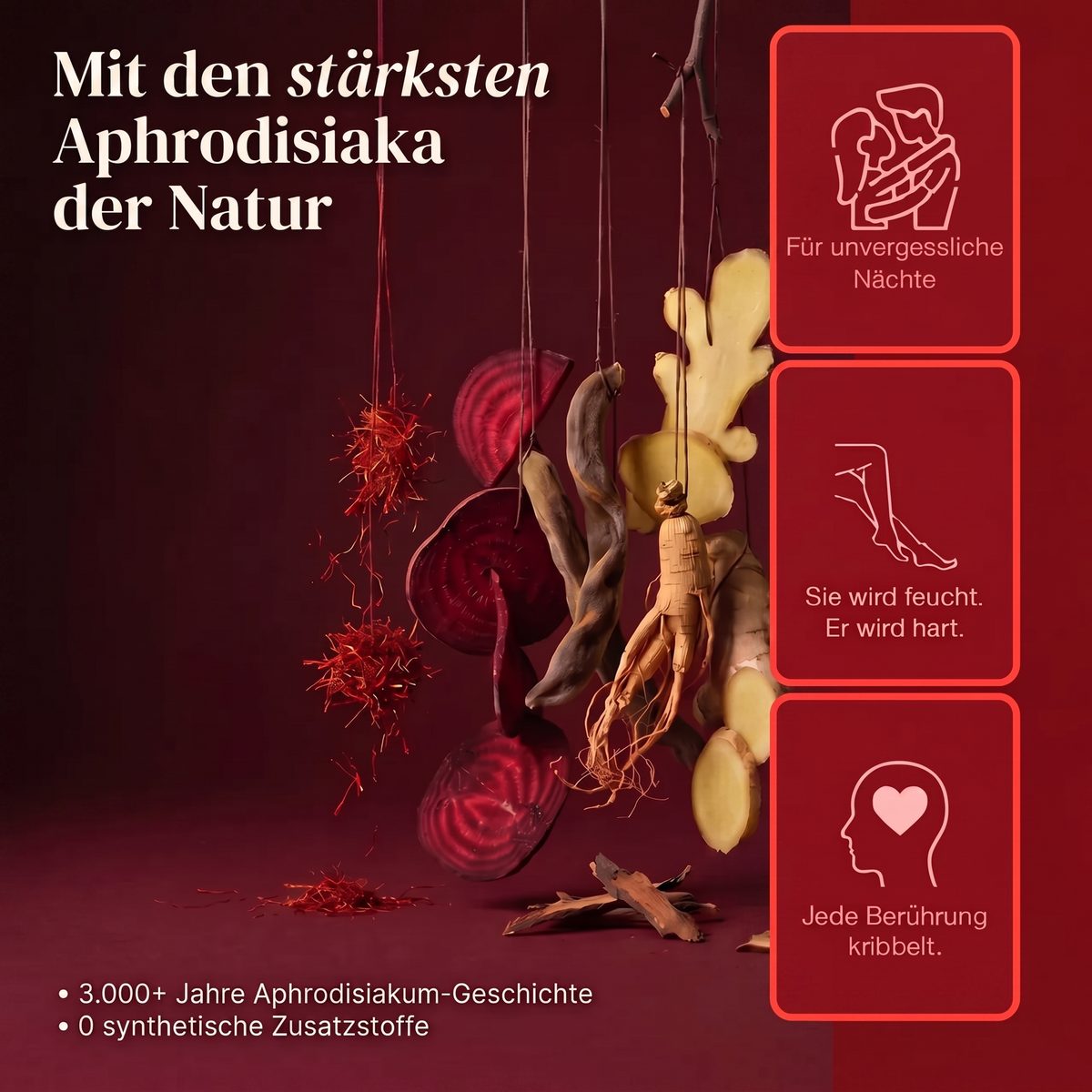 LiebesBissen - Für Nächte, die keiner vergisst